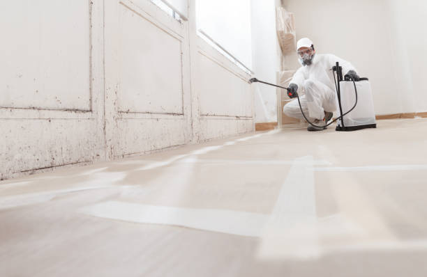 24/7 Emergency Mold Remediation experts in Trappe, PA